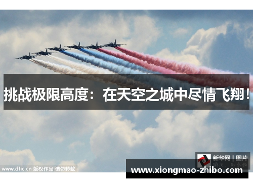 挑战极限高度：在天空之城中尽情飞翔！